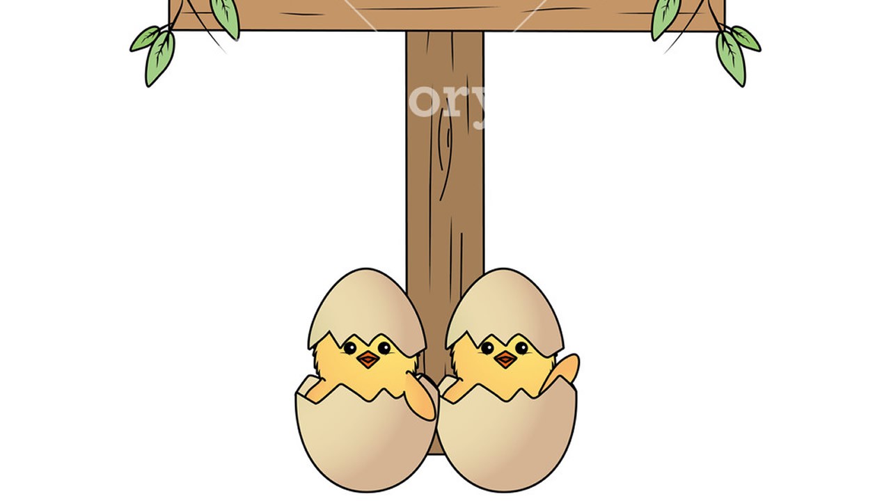 storyblocks-chick-with-eggshell-and-wooden-sign-vector-illustration-graphic-design_S5ePuS8gI4_SB_PM