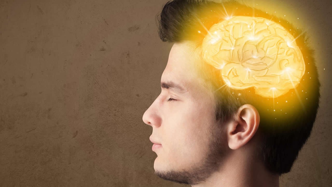 brain