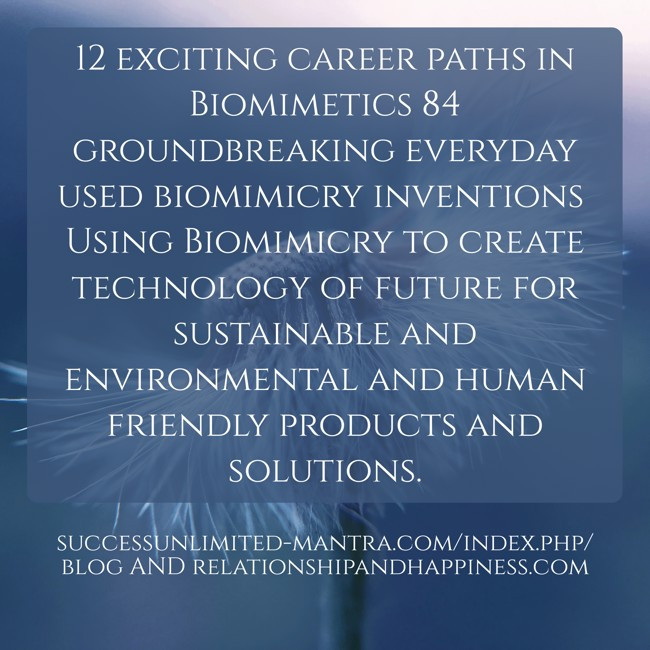 12-exciting-career-paths-in-biomimetics-84-groundbreaking